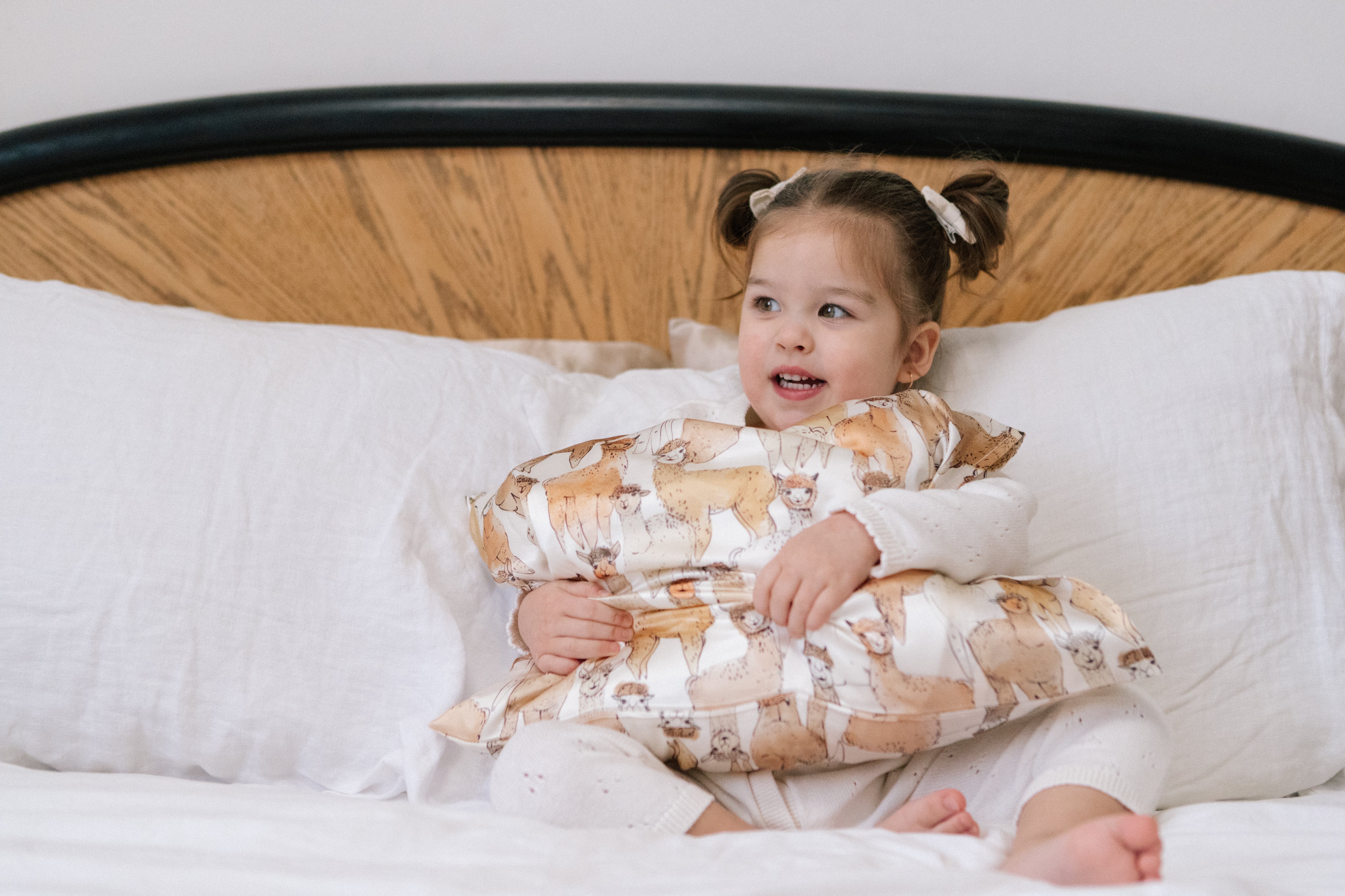 Silk Toddler Pillowcase in Andes