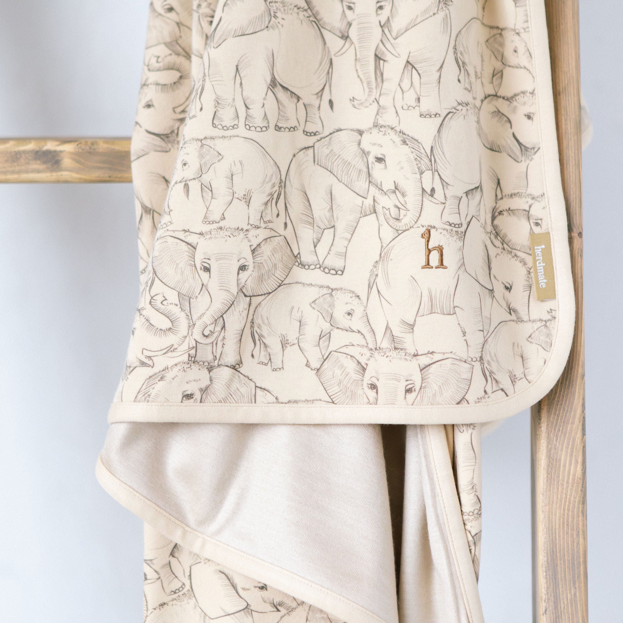 Cashmere Blanket in Deccan