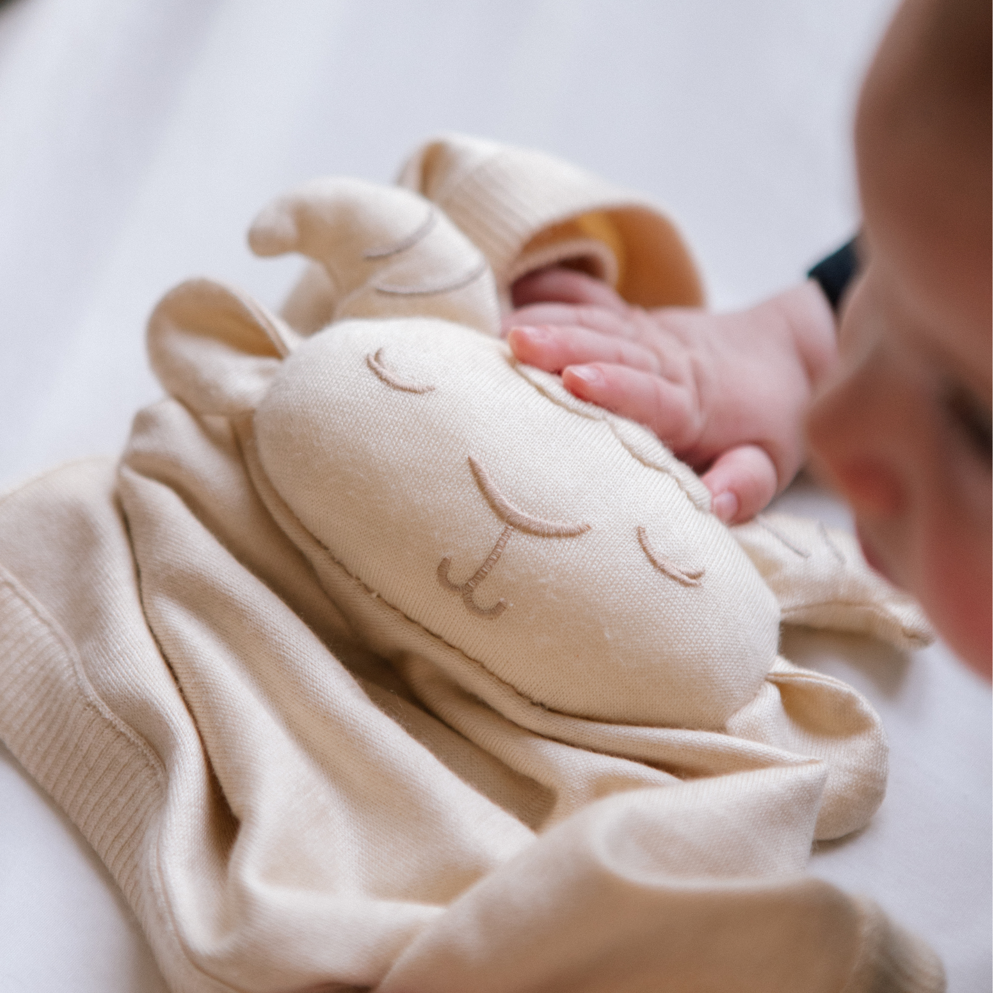 Cashmere Lovey in Highlands