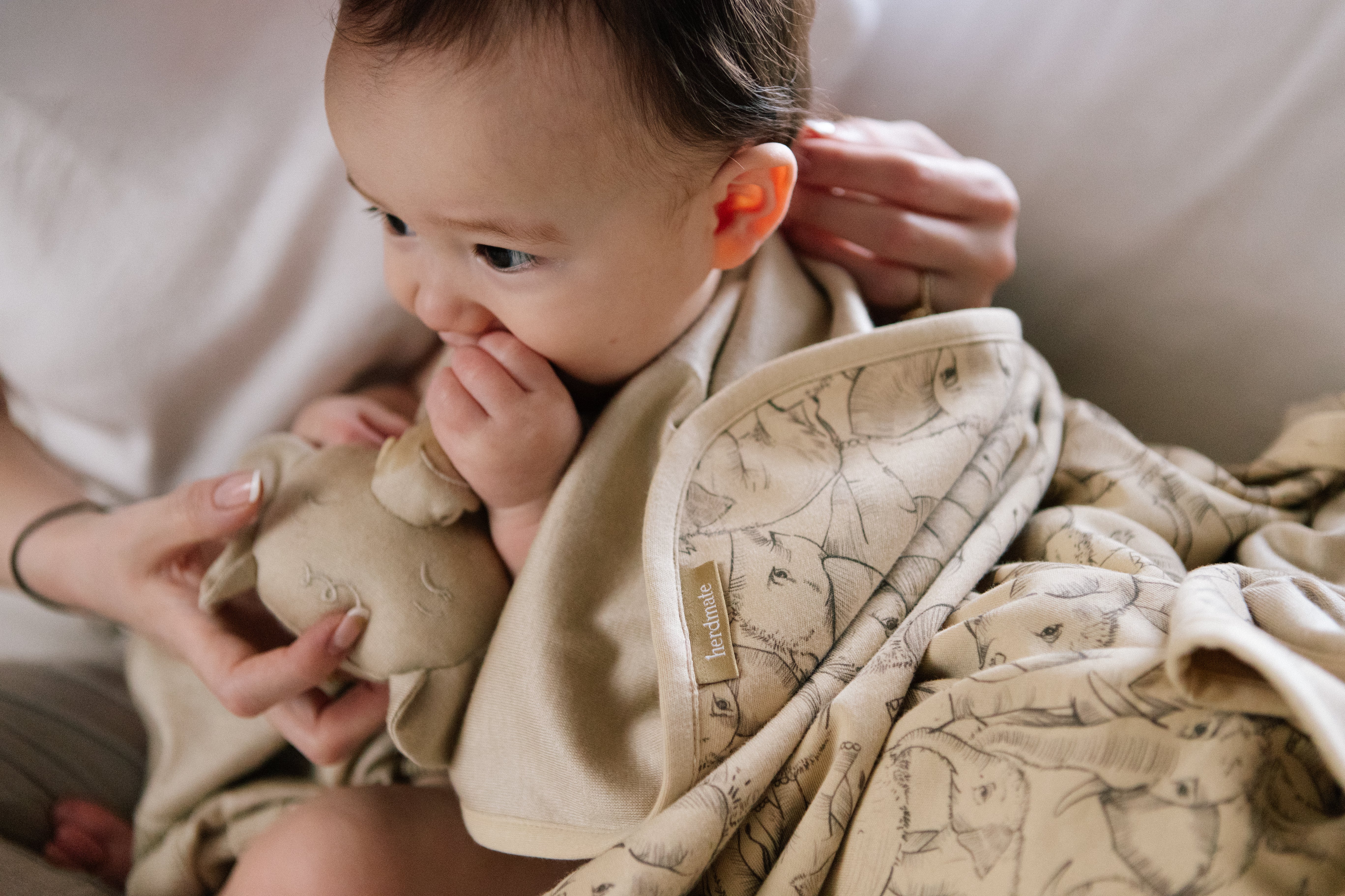 Cashmere Blanket in Deccan